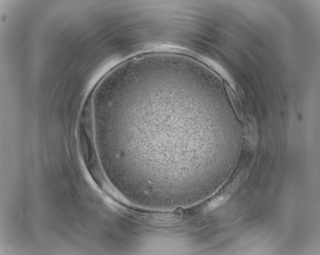 X0000067901007200604201330