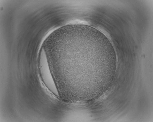 X0000067901008200604201330