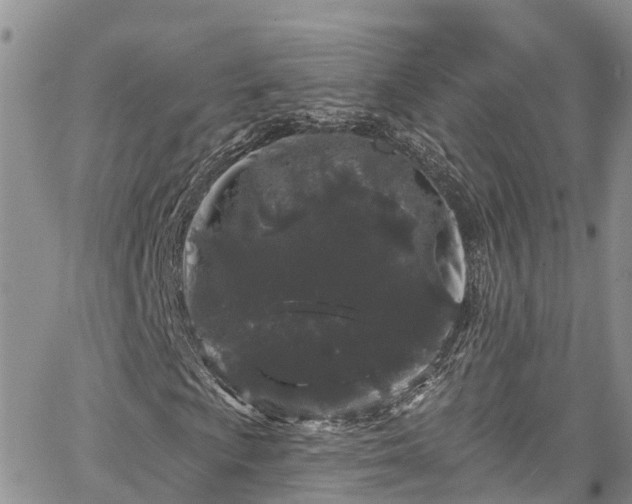 X0000067901009200604201329