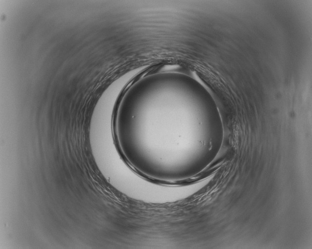 X0000067901010200604201329