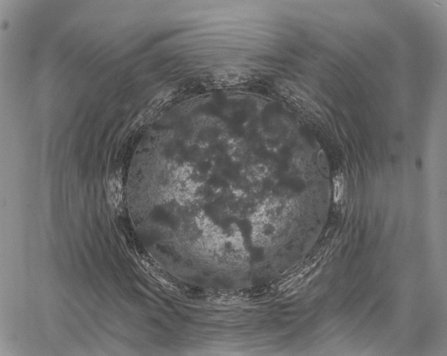 X0000067901011200604201329