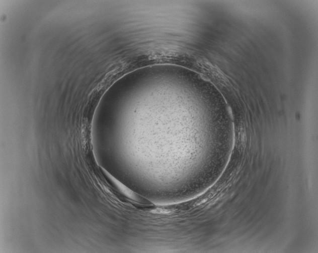 X0000067901012200604201329