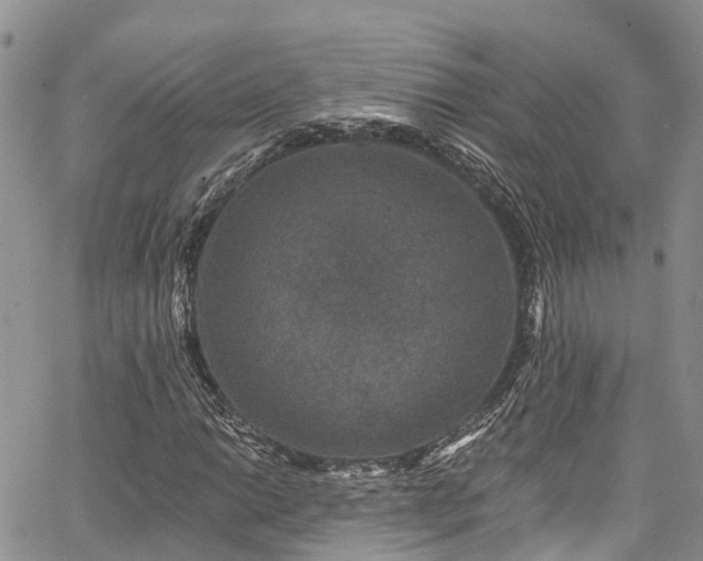 X0000067901014200604201329