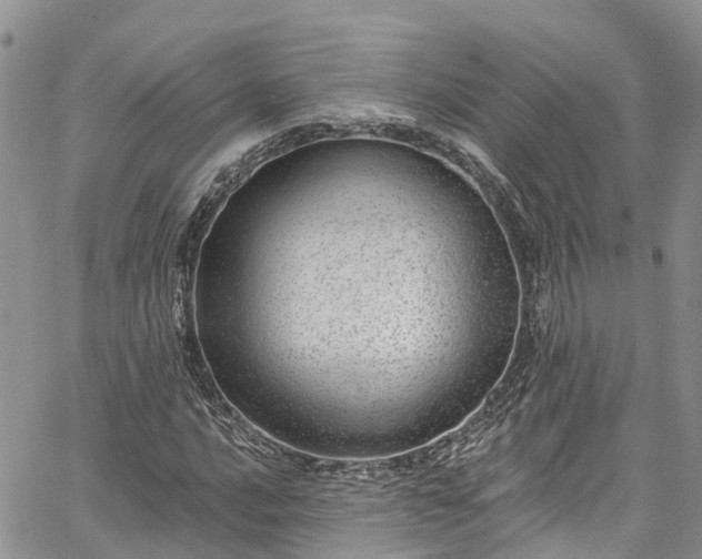 X0000067901016200604201329