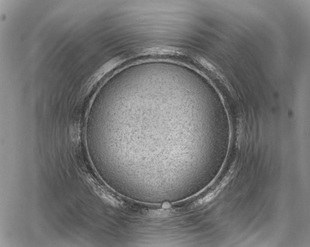 X0000067901017200604201329