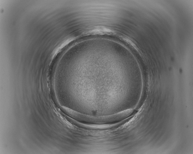 X0000067901018200604201329