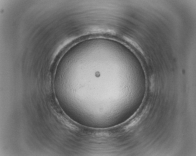 X0000067901021200604201329