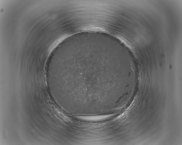 X0000067901022200604201329