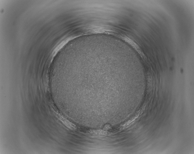 X0000067901023200604201329