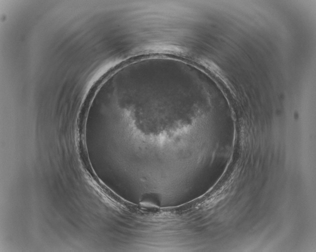 X0000067901024200604201329