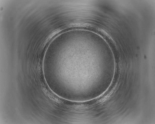 X0000067901025200604201329