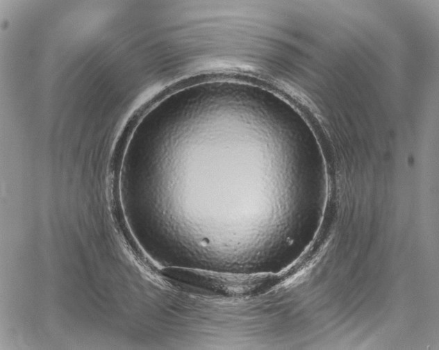 X0000067901029200604201329