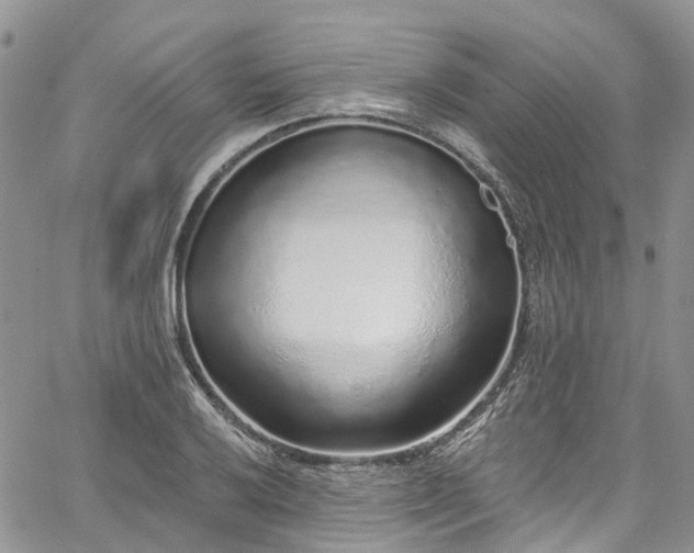 X0000067901032200604201329