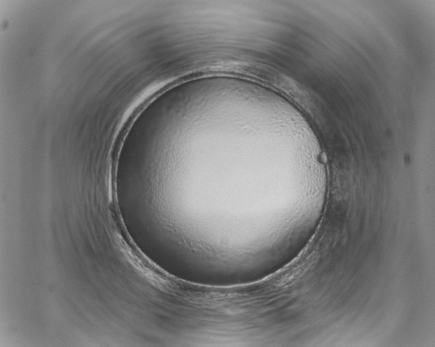 X0000067901036200604201329