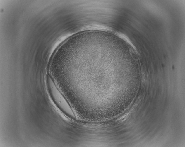 X0000067901040200604201330