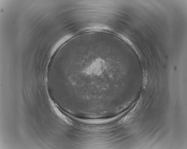 X0000067901042200604201330