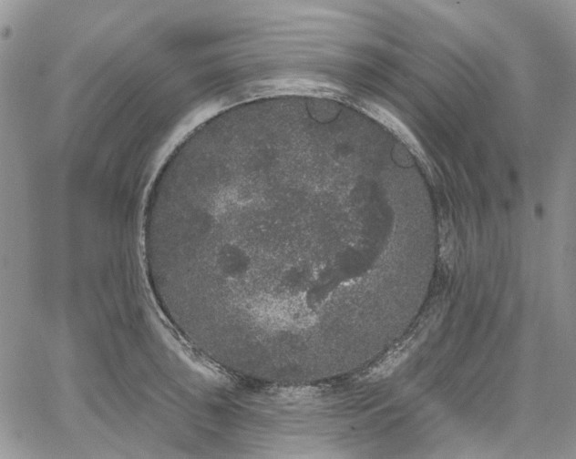 X0000067901043200604201330