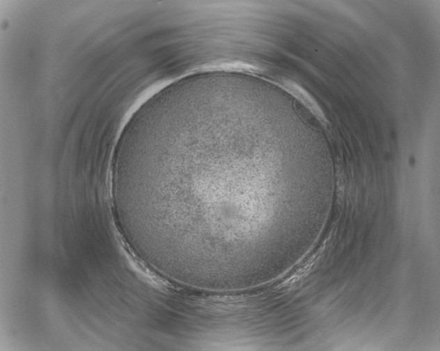 X0000067901044200604201330