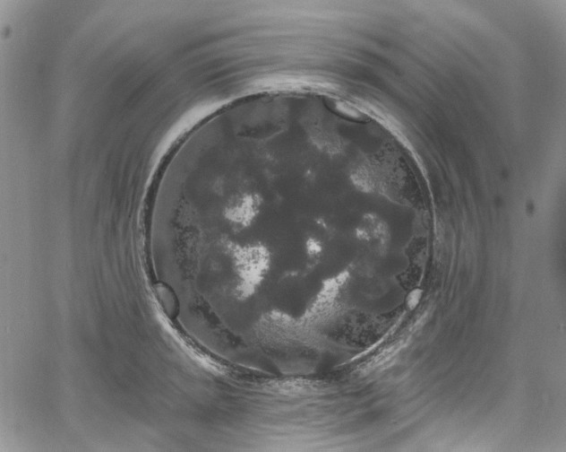 X0000067901045200604201330