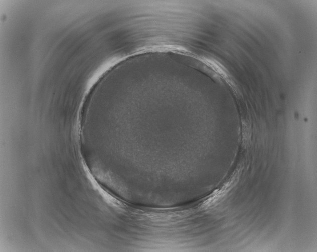 X0000067901046200604201330