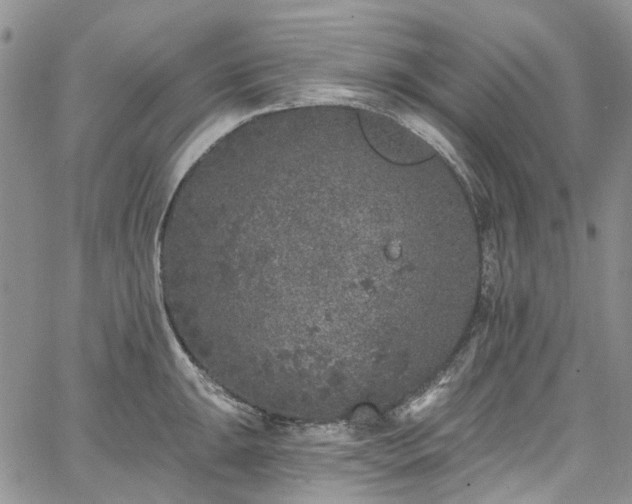 X0000067901047200604201330