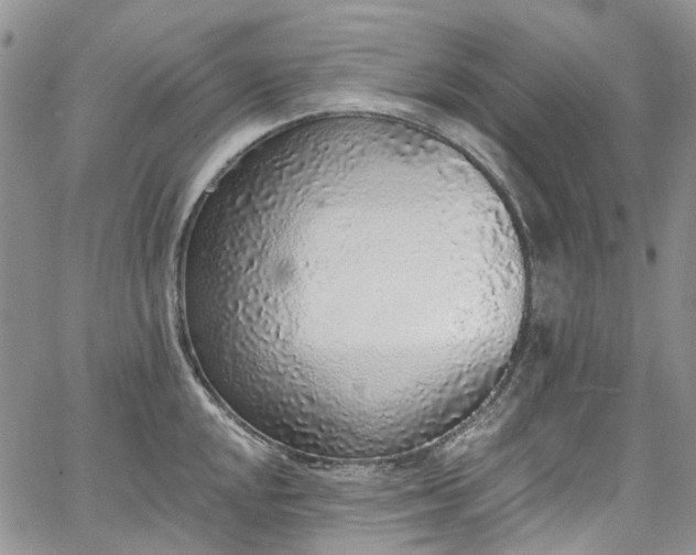 X0000067901048200604201330