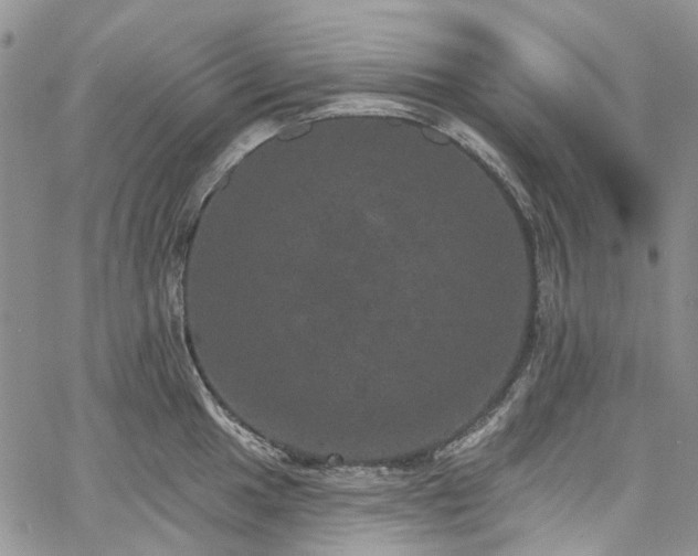 X0000067901049200604201330