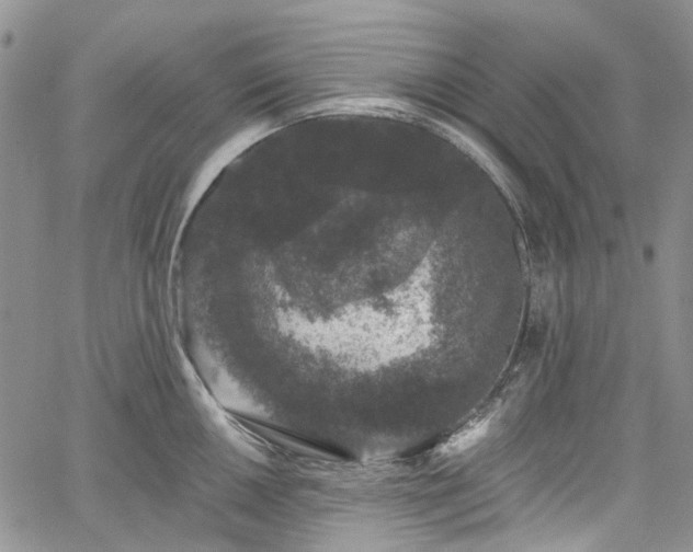 X0000067901050200604201330