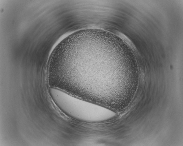 X0000067901052200604201330