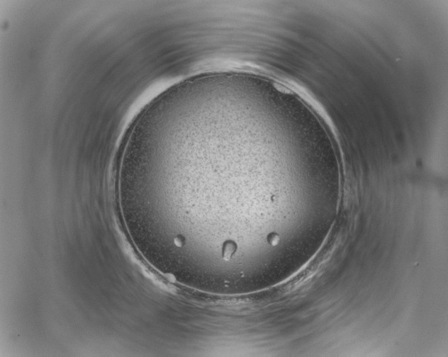 X0000067901053200604201330