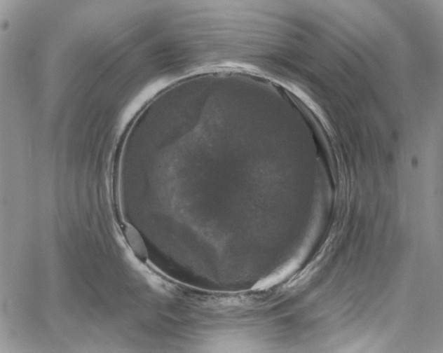 X0000067901054200604201330