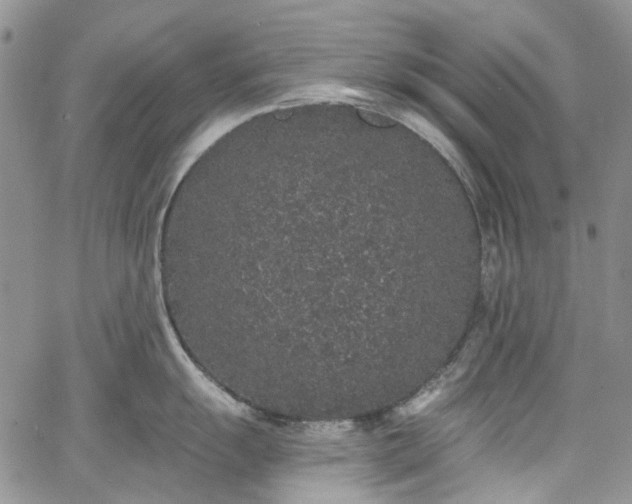 X0000067901055200604201330