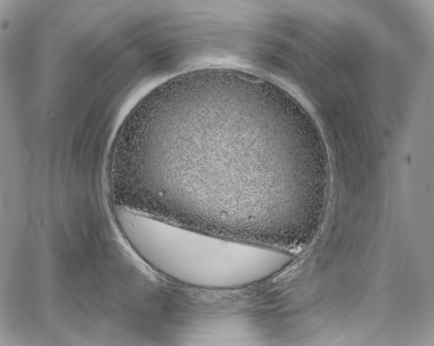 X0000067901056200604201330