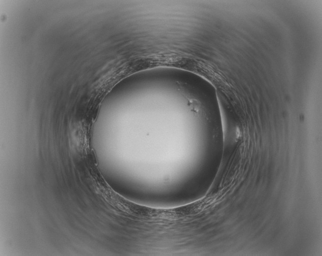 X0000067901058200604201329