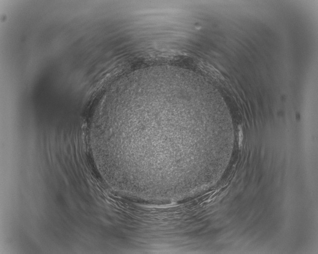 X0000067901059200604201329