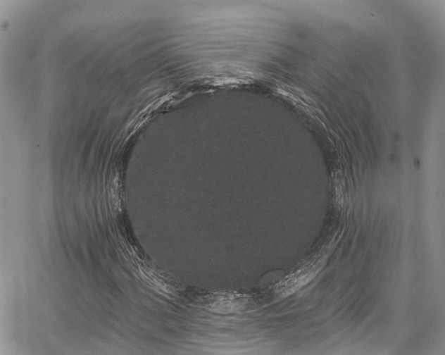 X0000067901060200604201329