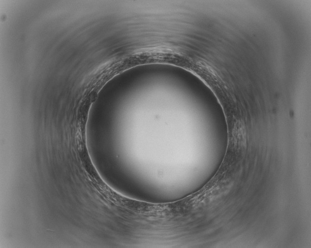 X0000067901062200604201329