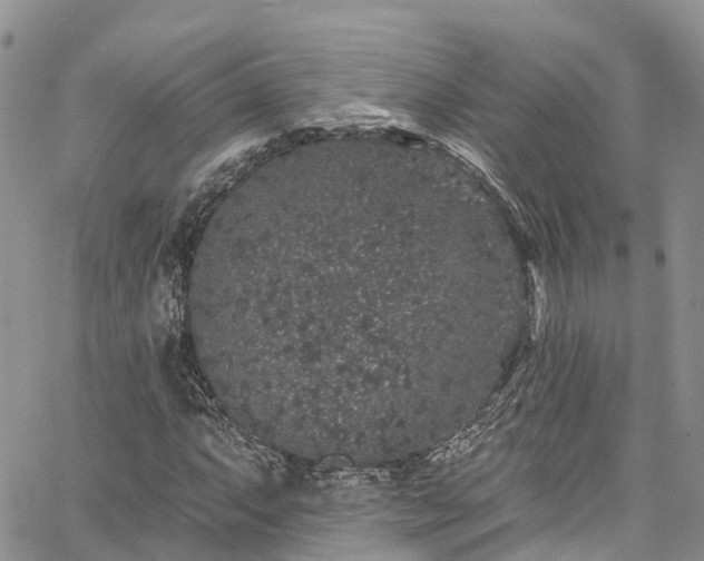 X0000067901063200604201329