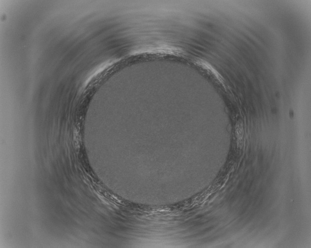 X0000067901064200604201329