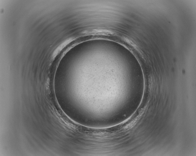 X0000067901066200604201329