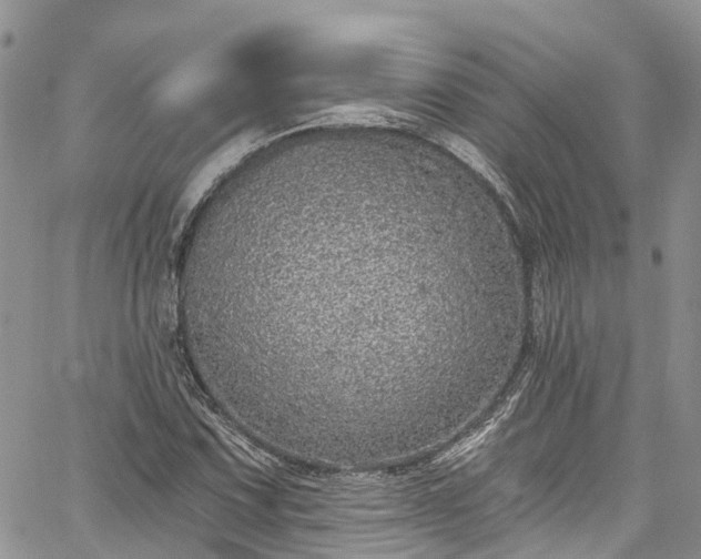 X0000067901067200604201329