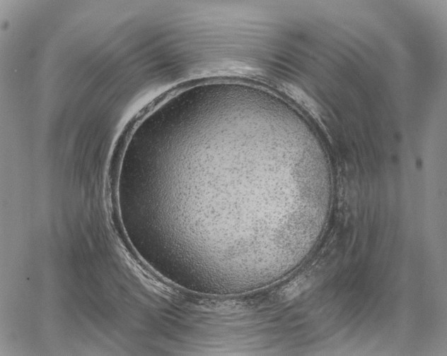 X0000067901072200604201329