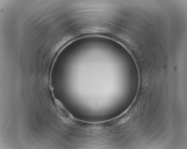 X0000067901073200604201329