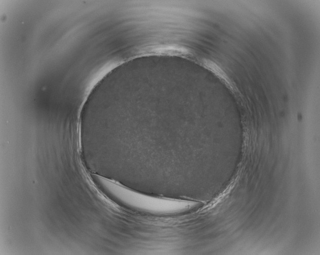 X0000067901079200604201329