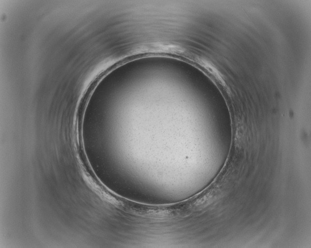 X0000067901080200604201329