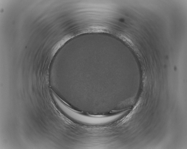 X0000067901081200604201329