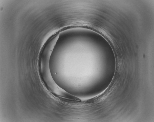 X0000067901085200604201329