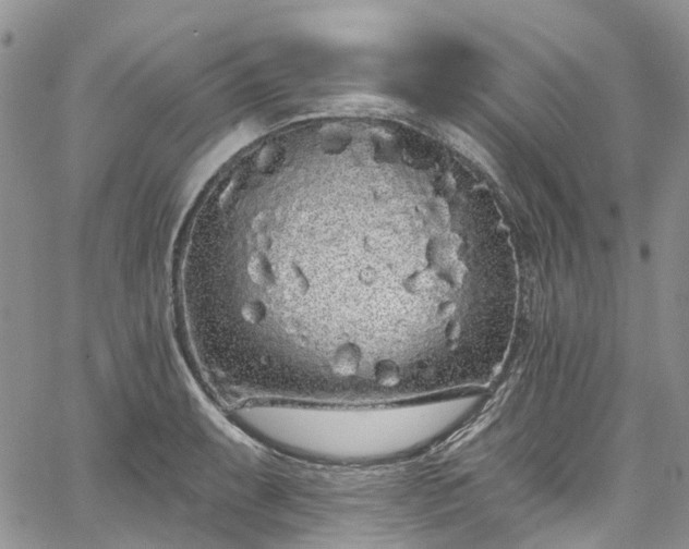 X0000067901087200604201329