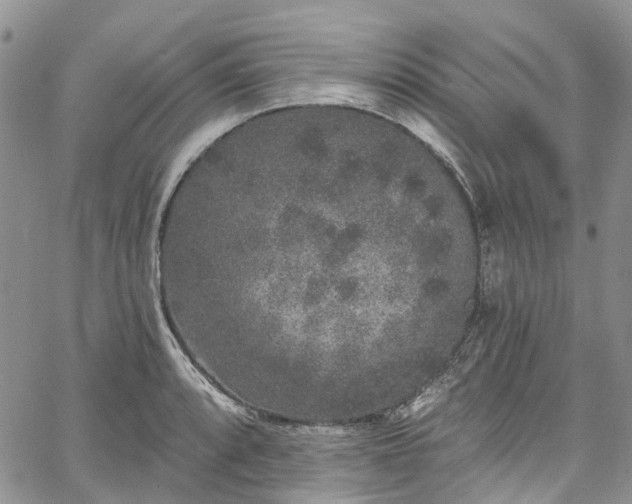 X0000067901088200604201328