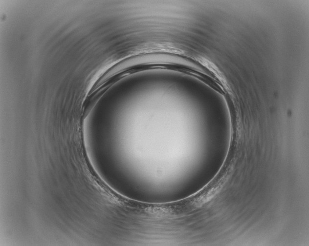 X0000067901089200604201328